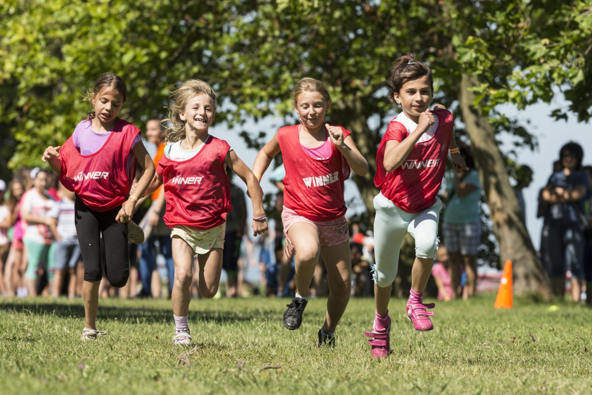 30 tonna gyümölcs, 9000 szilvásgombóc – mi az?