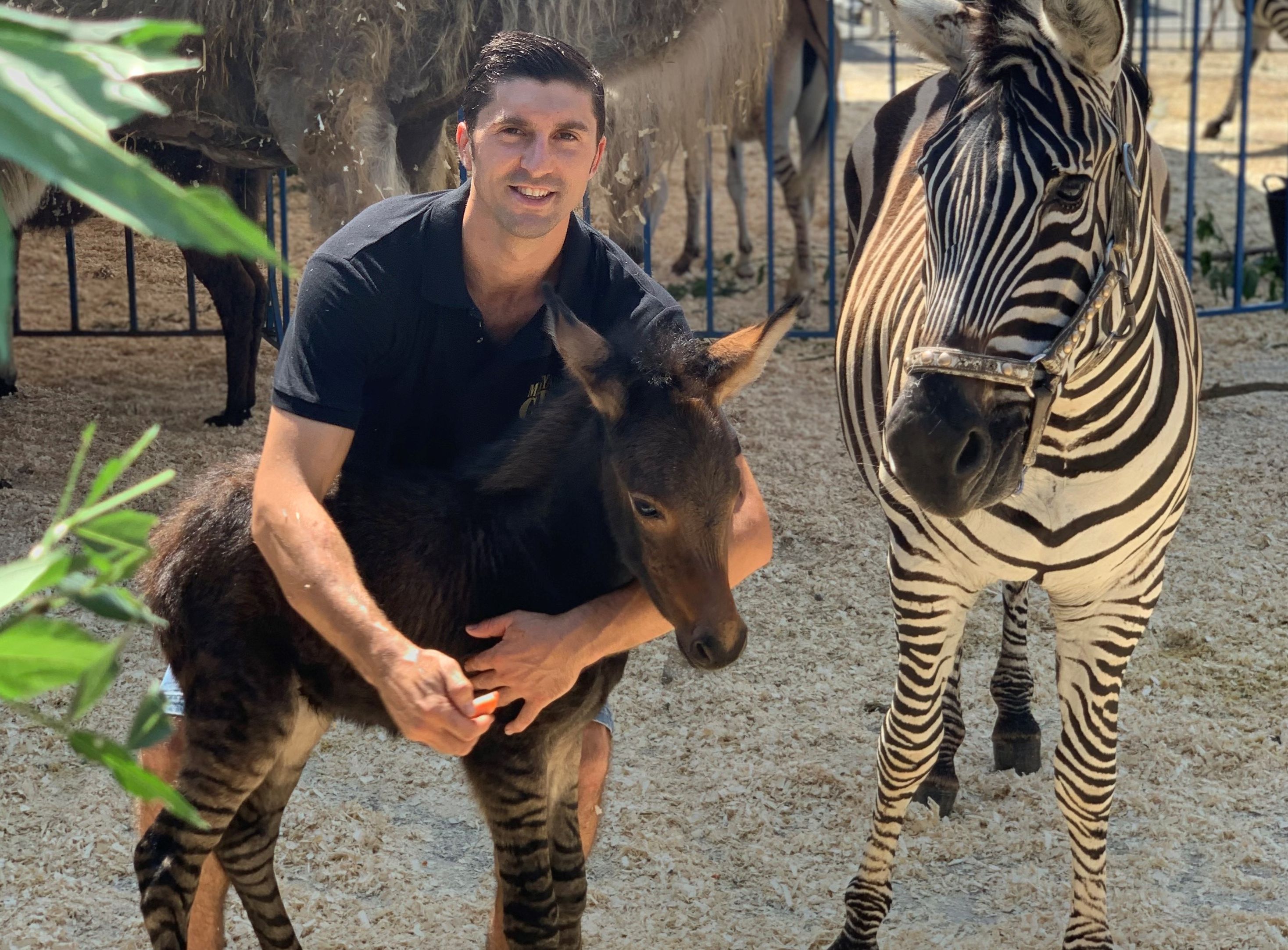 Szenzációs baby boom