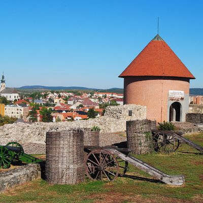 "A magyar családok jelentik a magyar jövőt!"