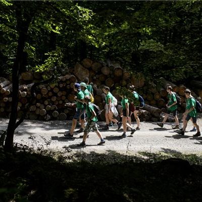 Megnyíltak az erdei, vízi és kerékpáros vándortáborok