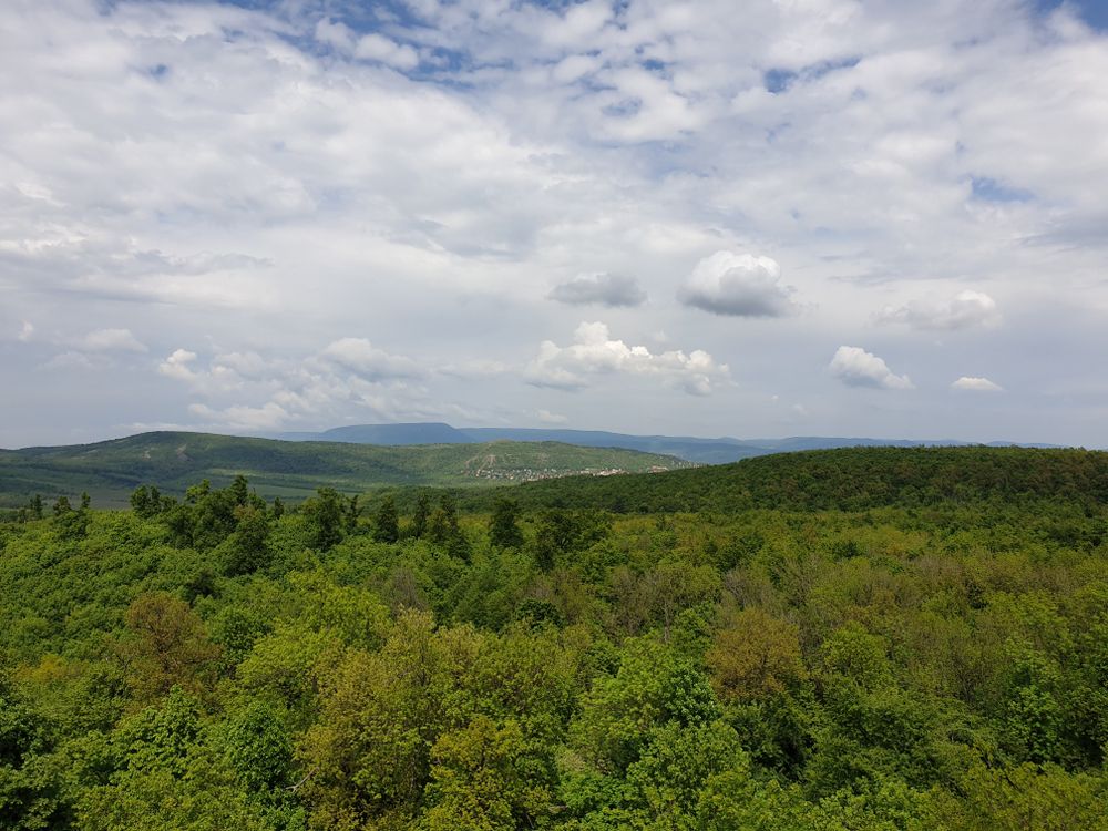 Magyarországon is van őserdő