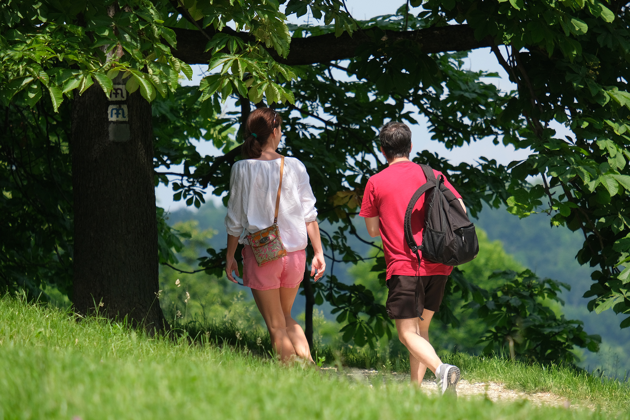 Táplálkozással és mozgással győzhető le a magas vérnyomás   