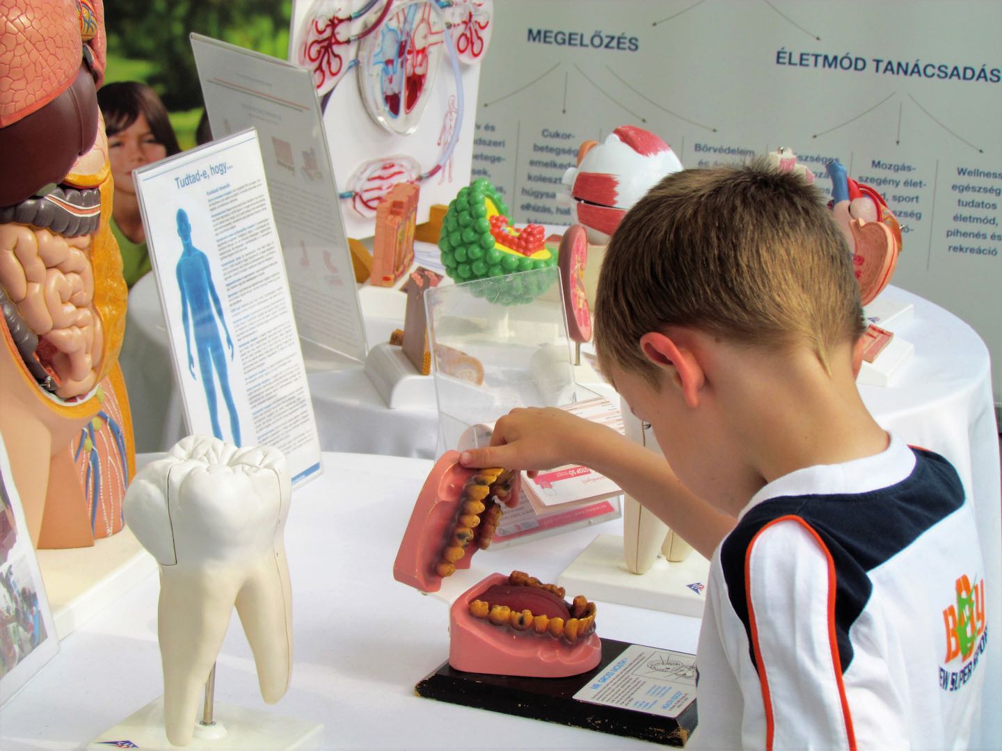 A megelőzést nem lehet elég korán kezdeni