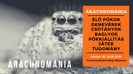 Szuper gyerekprogram: Arachnománia kiállítás 