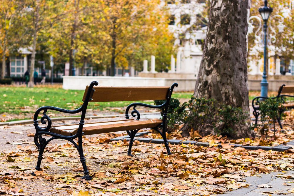 Van elég hely a rászorulók számára
