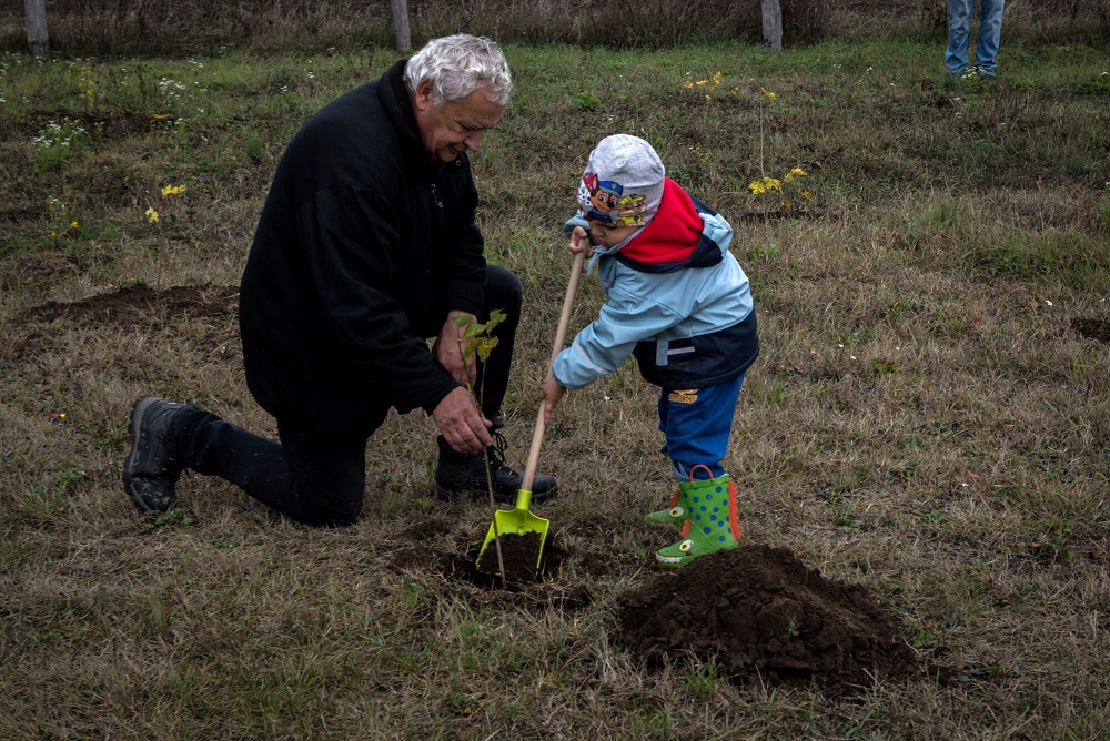 Egyetlen nap alatt 6101 fából álló “erdő”
