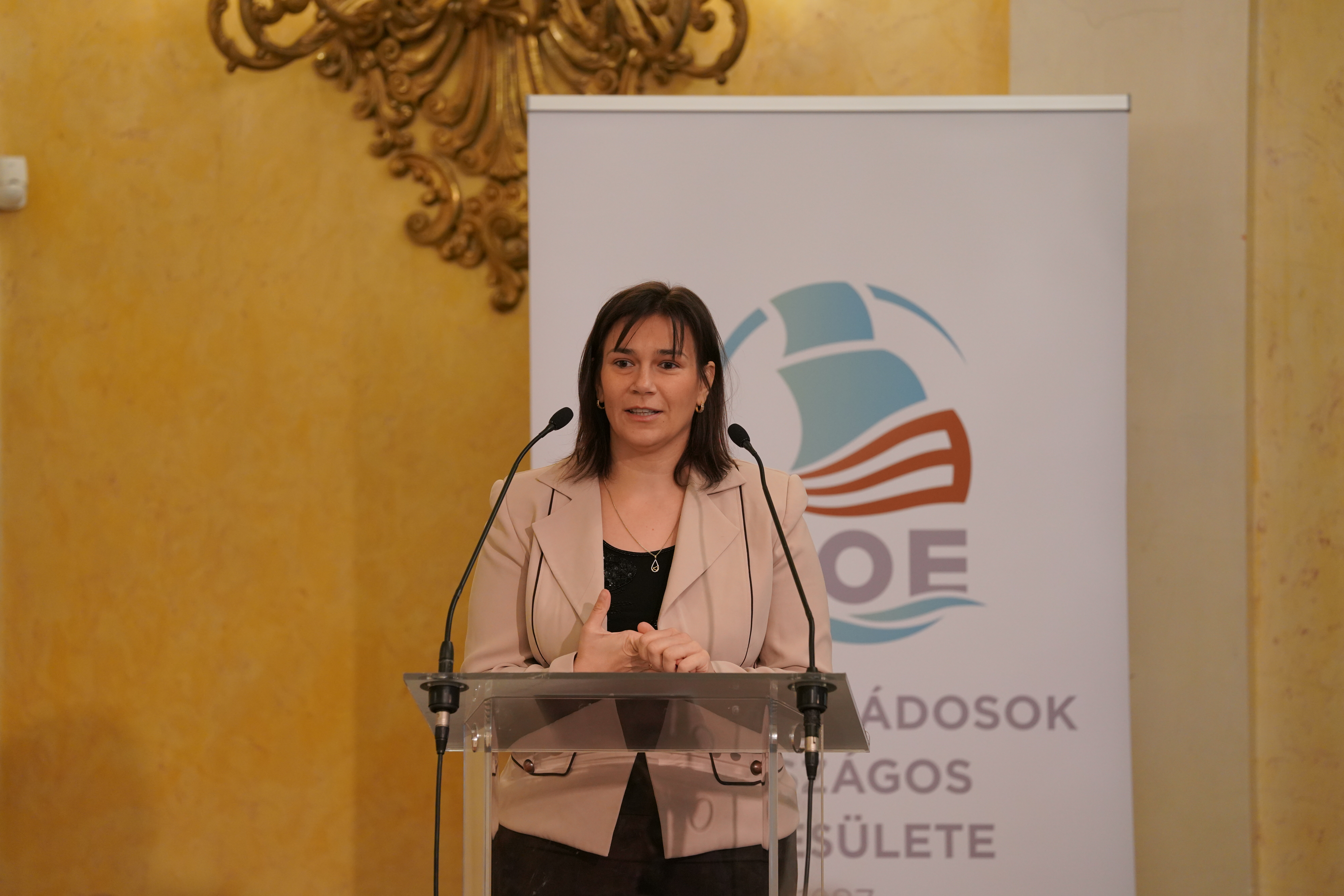 Családszervezetek találkozója a családokért