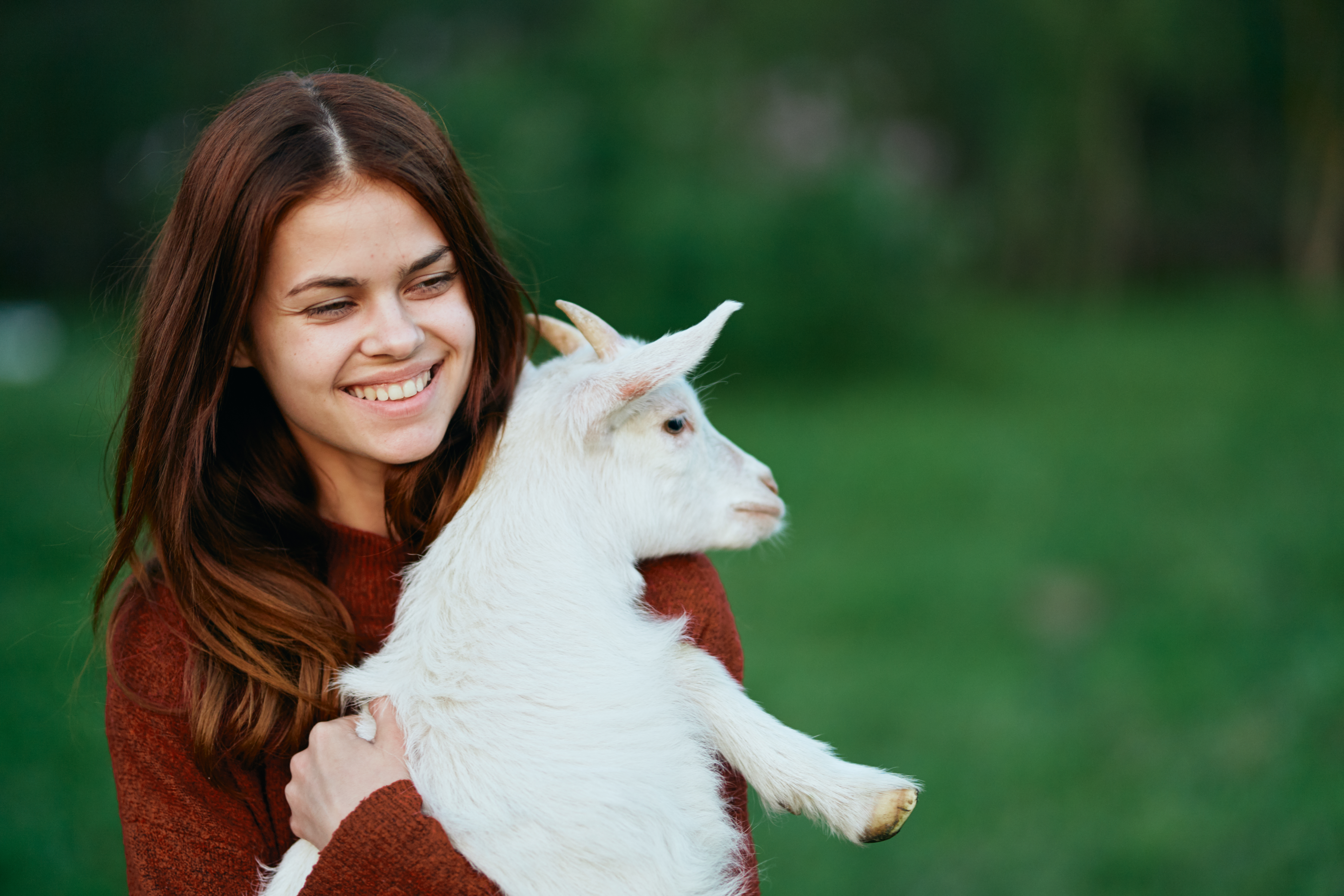 Okostraktor, energiaültetvény?– mezőgazdálkodj okosan!