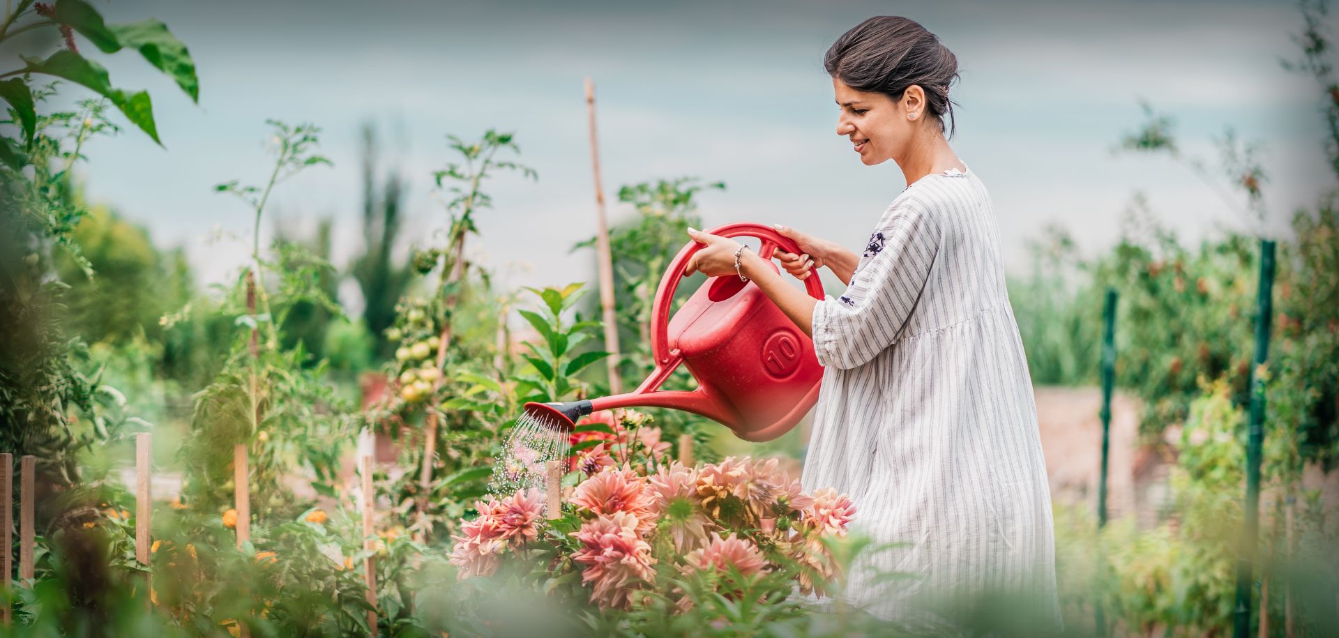 Ültessünk, metsszünk, fiatalítsunk – karanténban is lehet kertészkedni!   