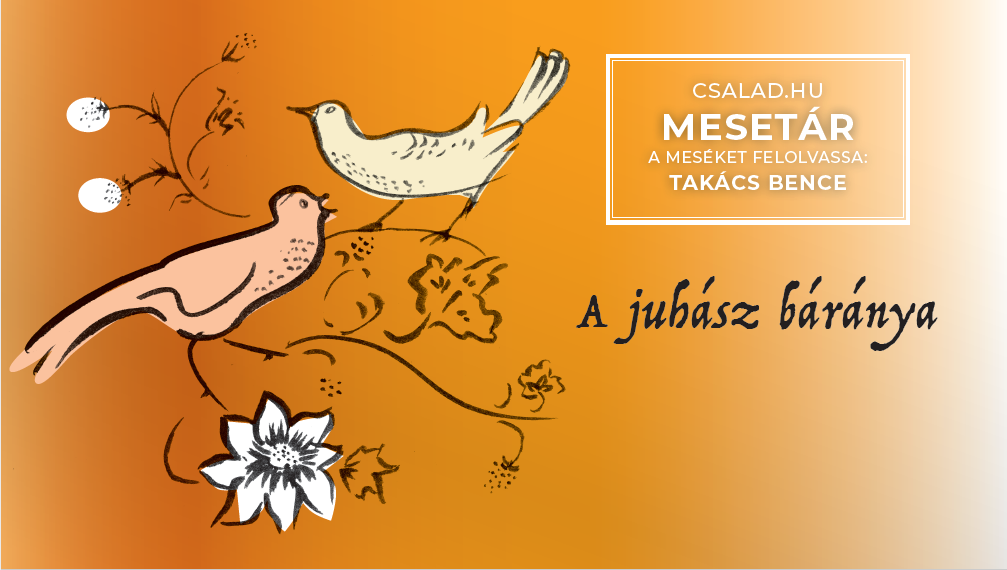 A juhász báránya