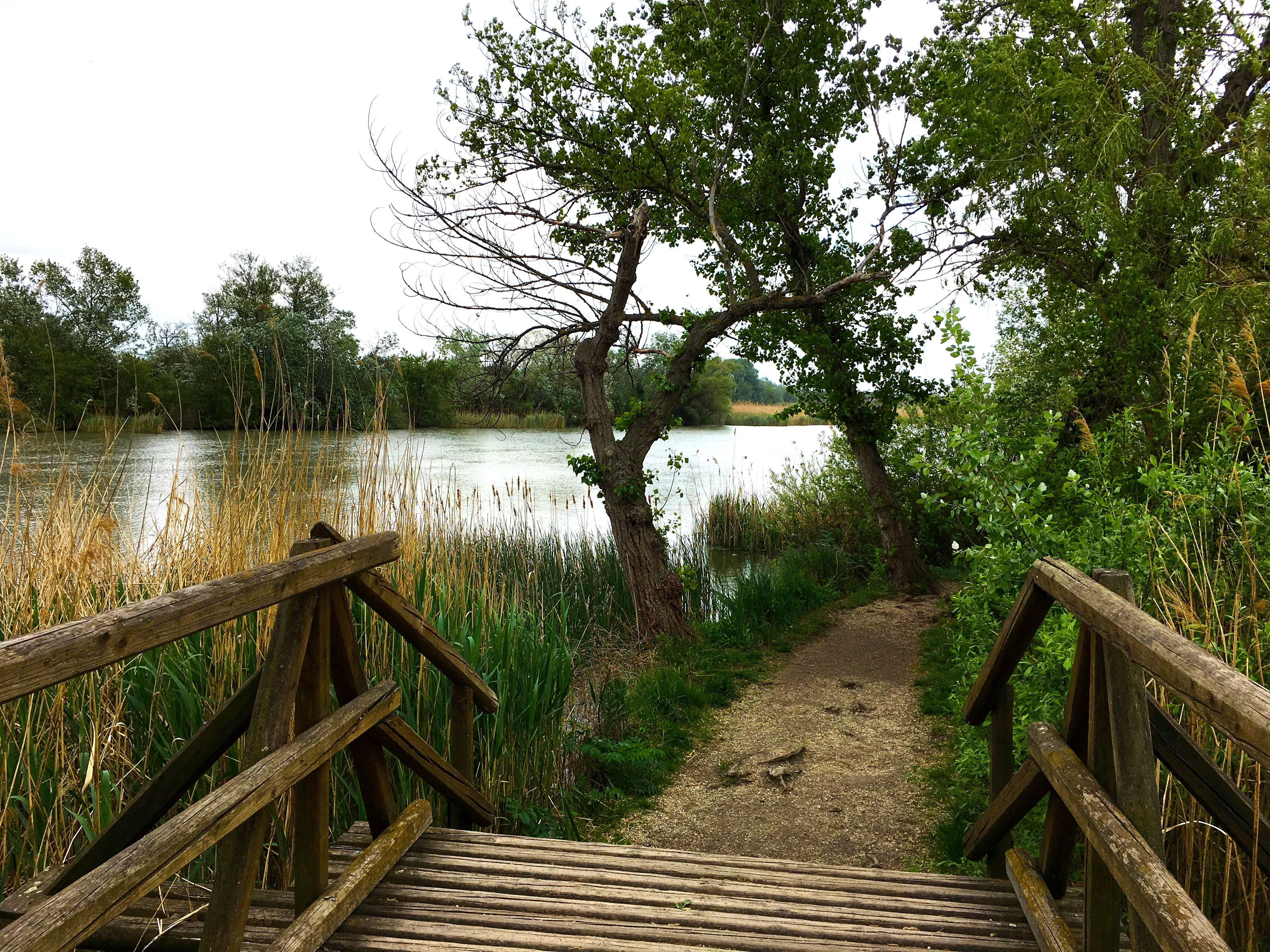 Tanösvények Aggtelektől Zalakarosig