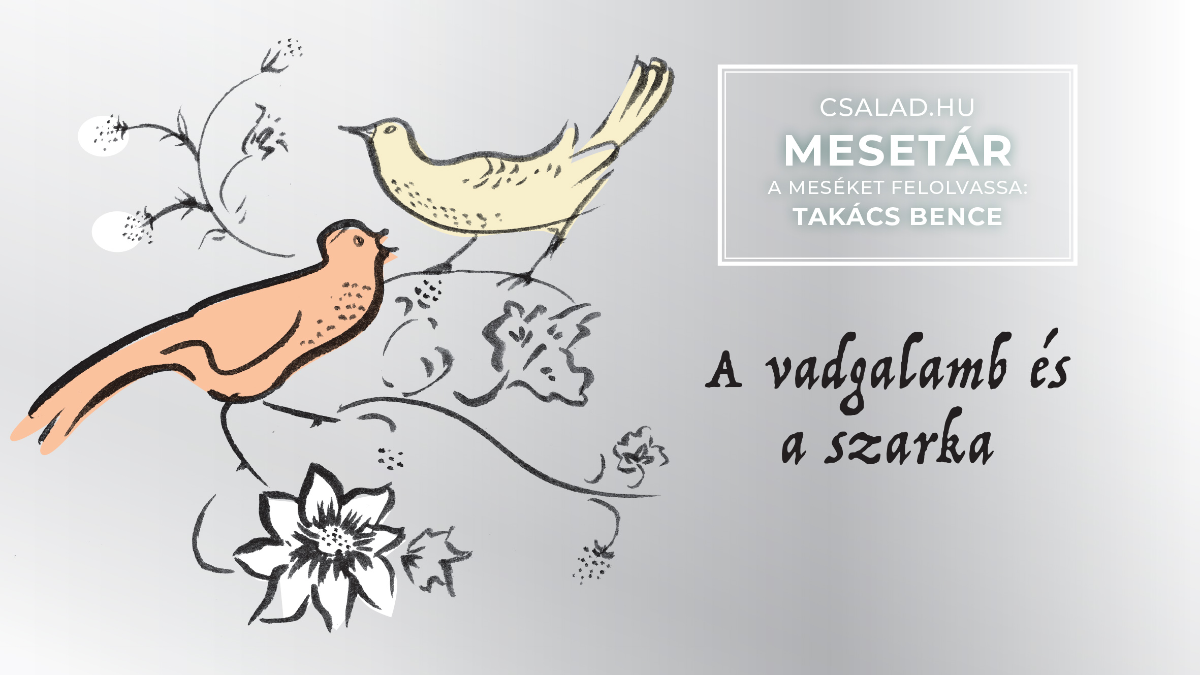 A vadgalamb és a szarka