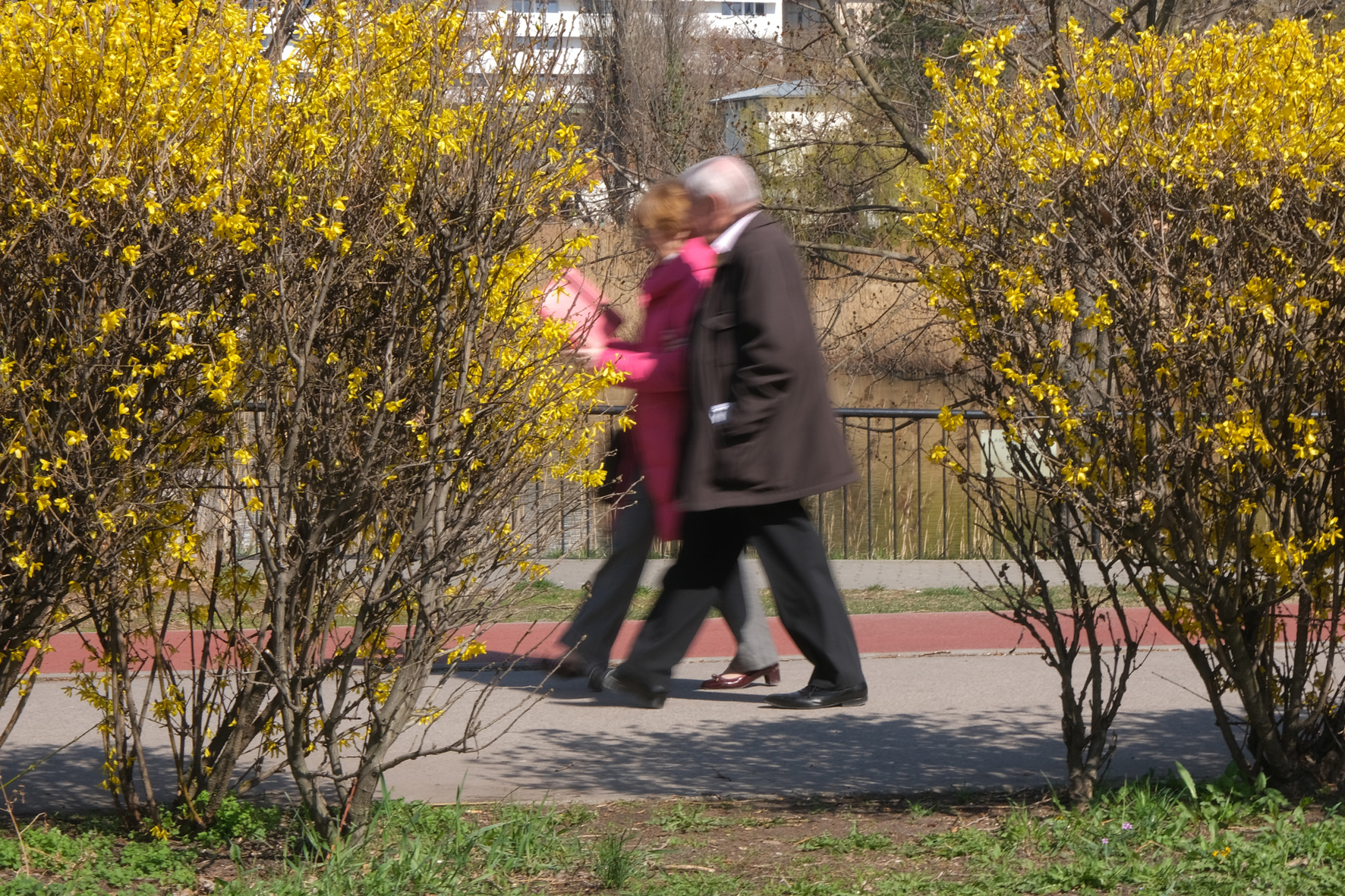 Szeptember 10-ig lehet pályázni az Idősbarát önkormányzat díjra