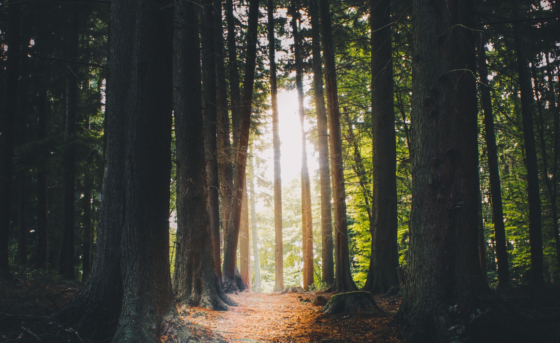 Ha az európaiakon múlna, közel háromszor nagyobb Földre lenne szükség
