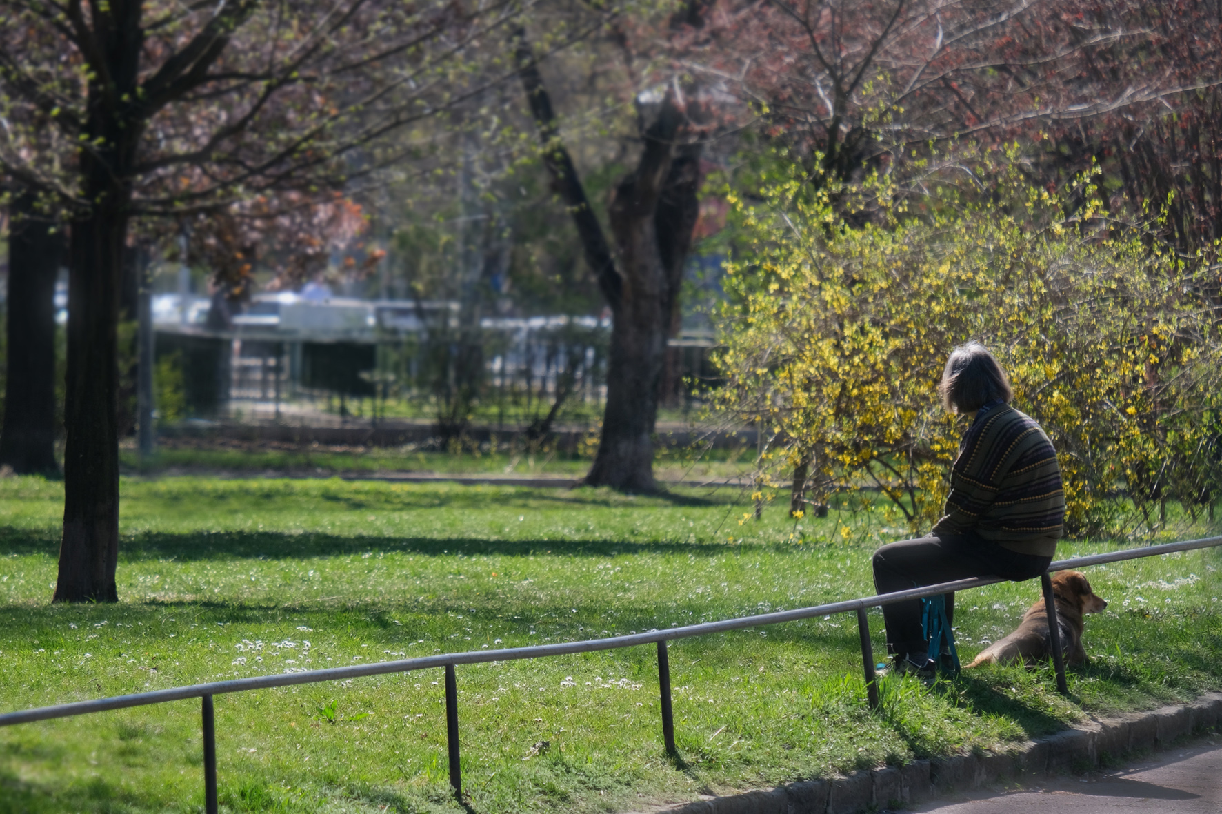 Az MNB az ökológiai lábnyom mérséklésére hívja fel a figyelmet