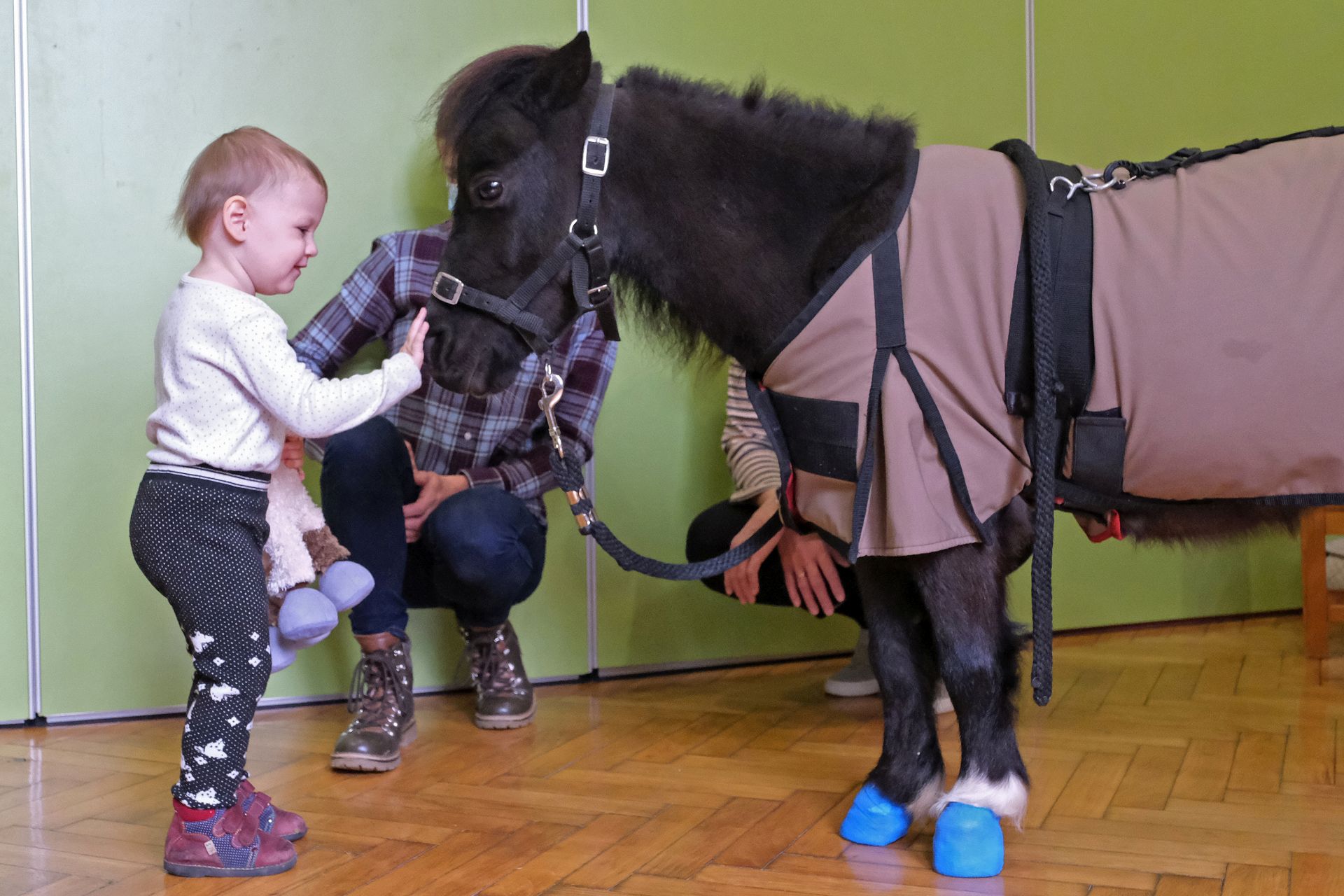 Miért fél a gyerekem az állatoktól?
