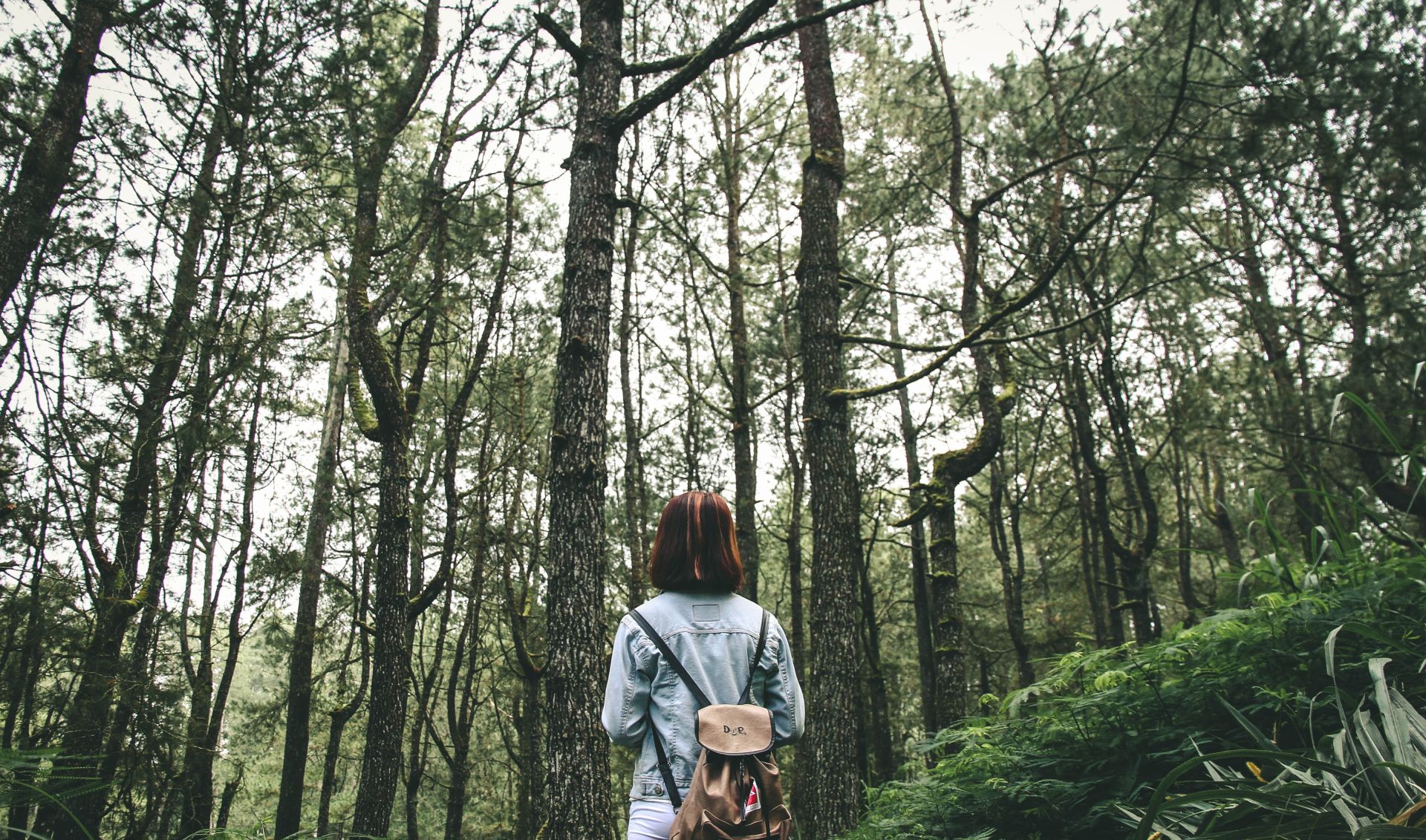 Természetjárás – receptre!