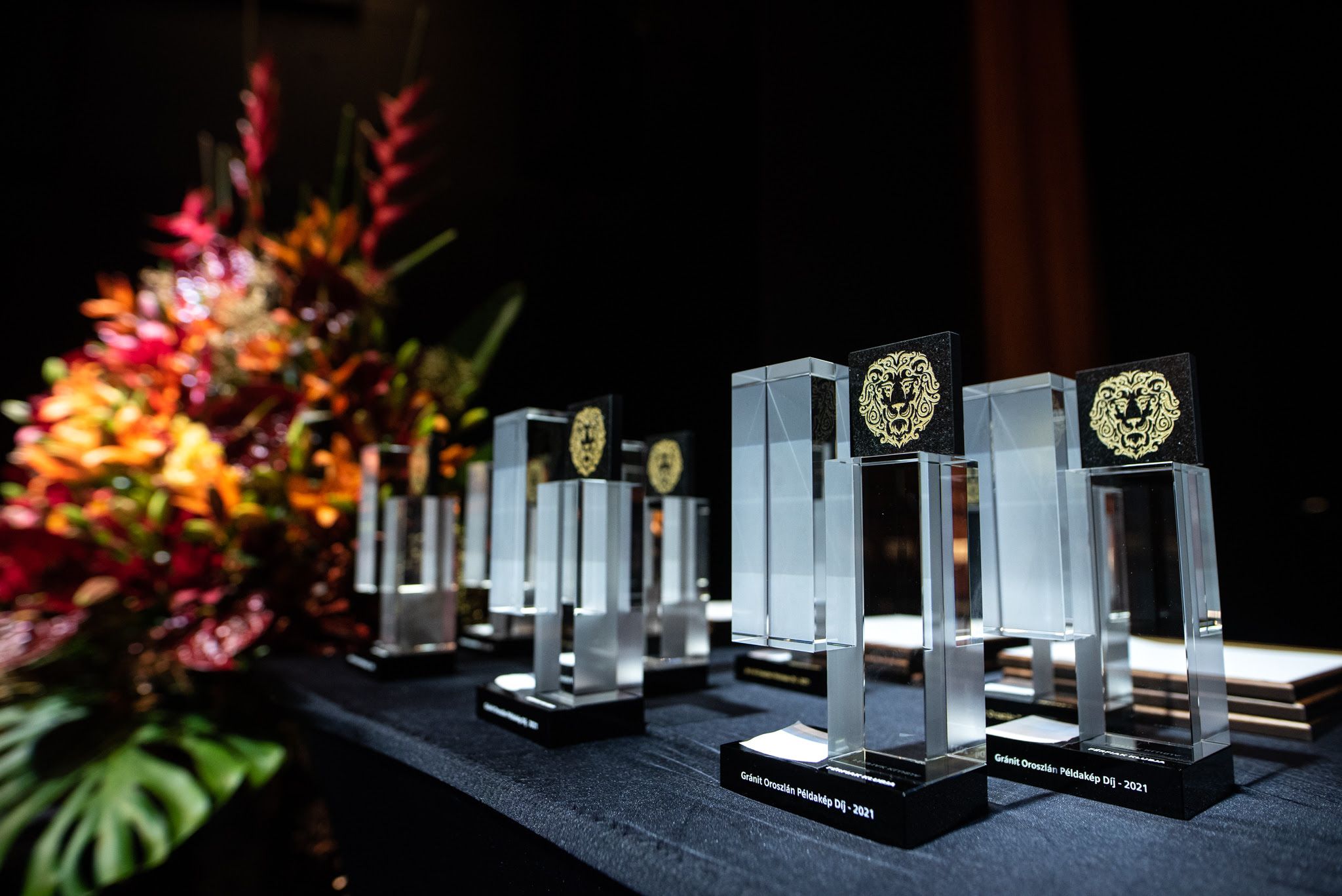 Ötödjére osztották ki a Gránit Oroszlán Példakép Díjakat