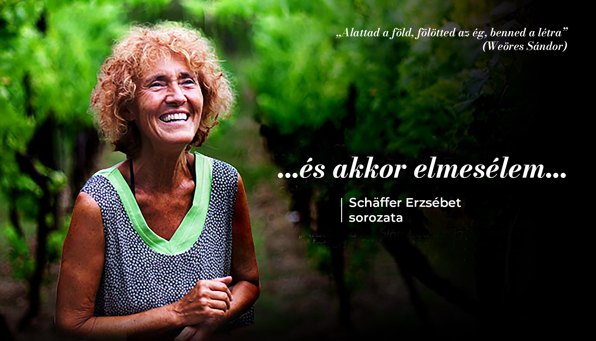 Békében, háborúban – kisbabák üzenete