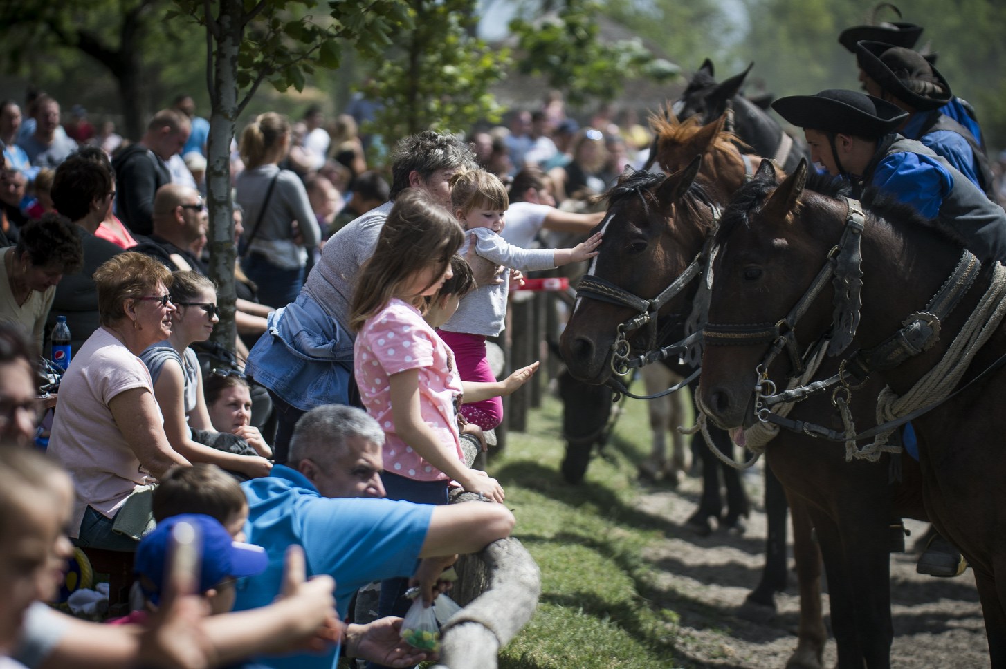 Királyválasztás és zöldágazás – pünkösdi hagyományok a javából! 