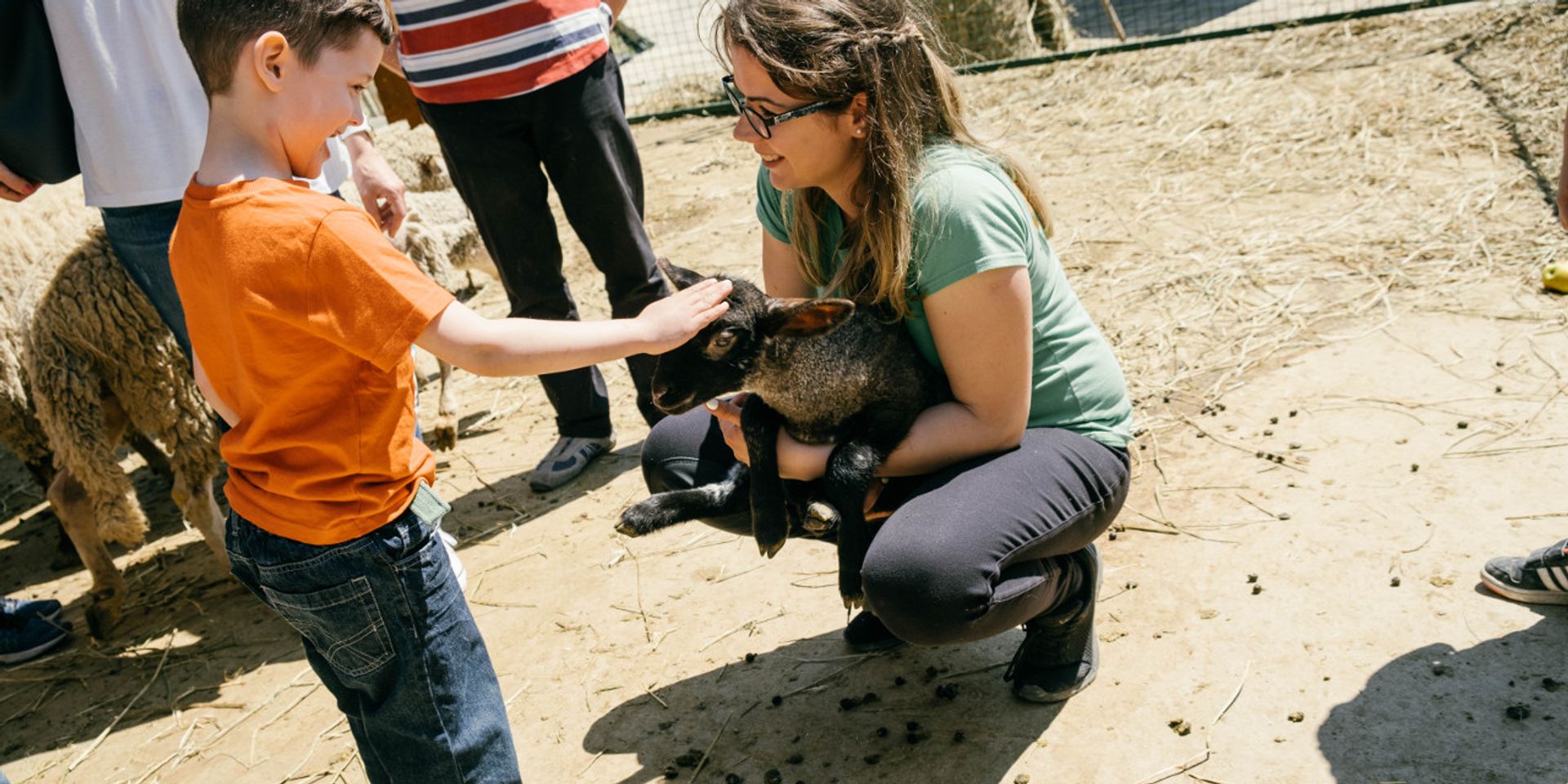 Családi állatpark – Megnyílt a RoBirtok Élményközpont