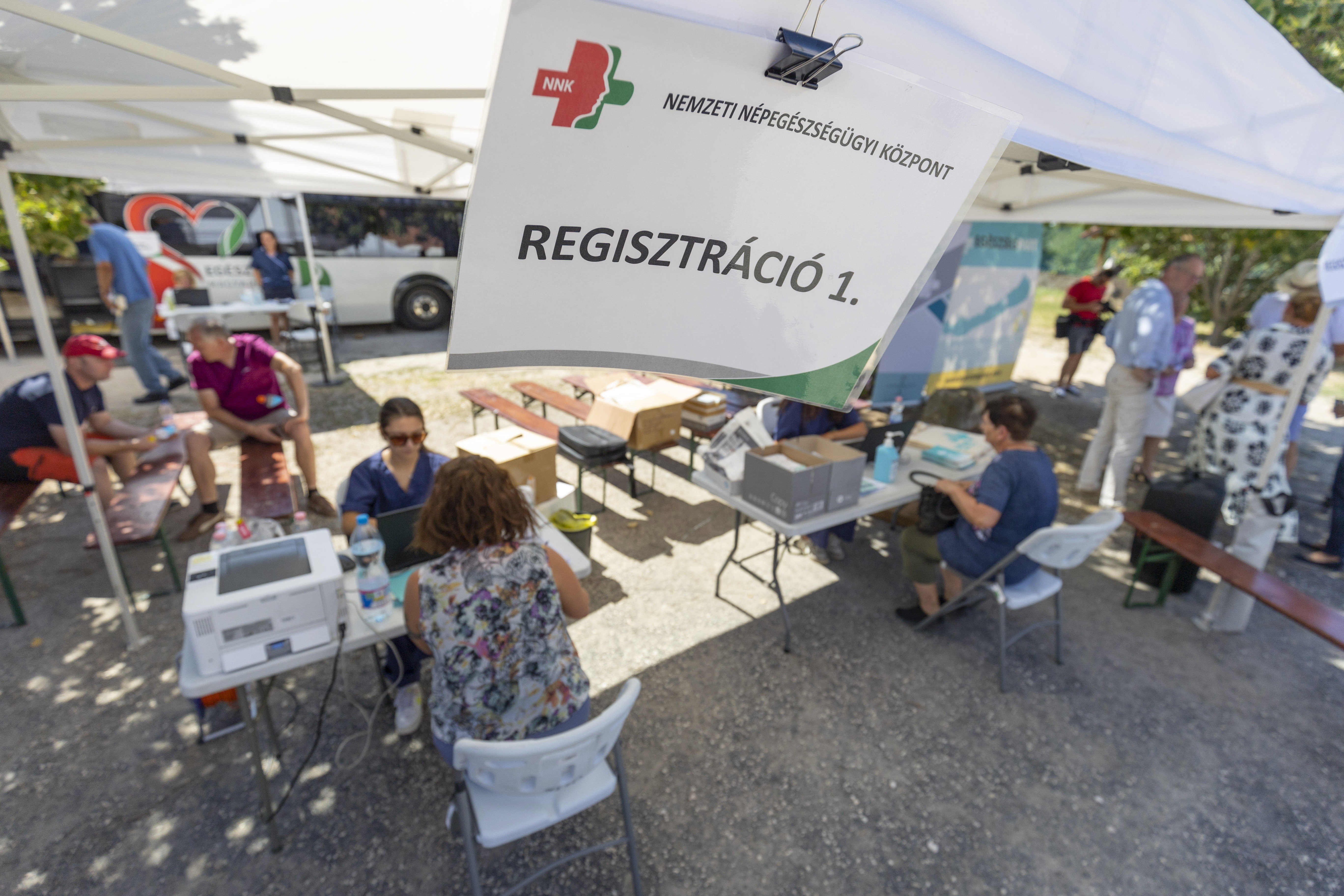 Kellemest a hasznossal a Balatonnál