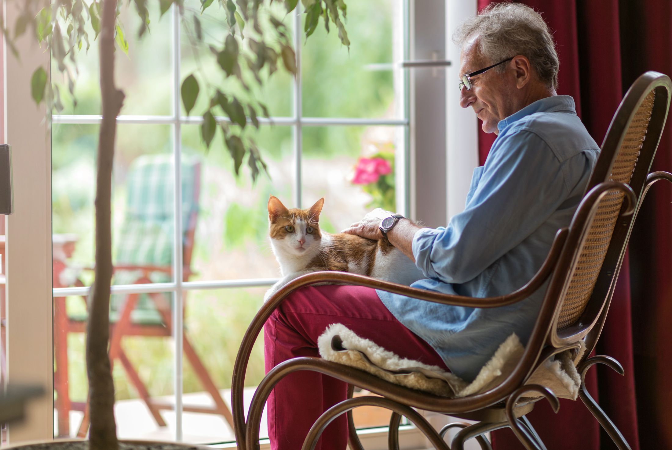 Operaária és macskadorombolás – Mi gyógyíthatja a szívet?