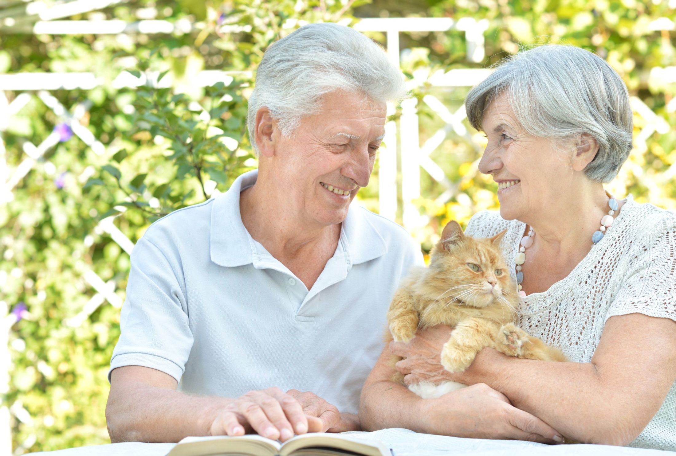 Operaária és macskadorombolás – Mi gyógyíthatja a szívet?