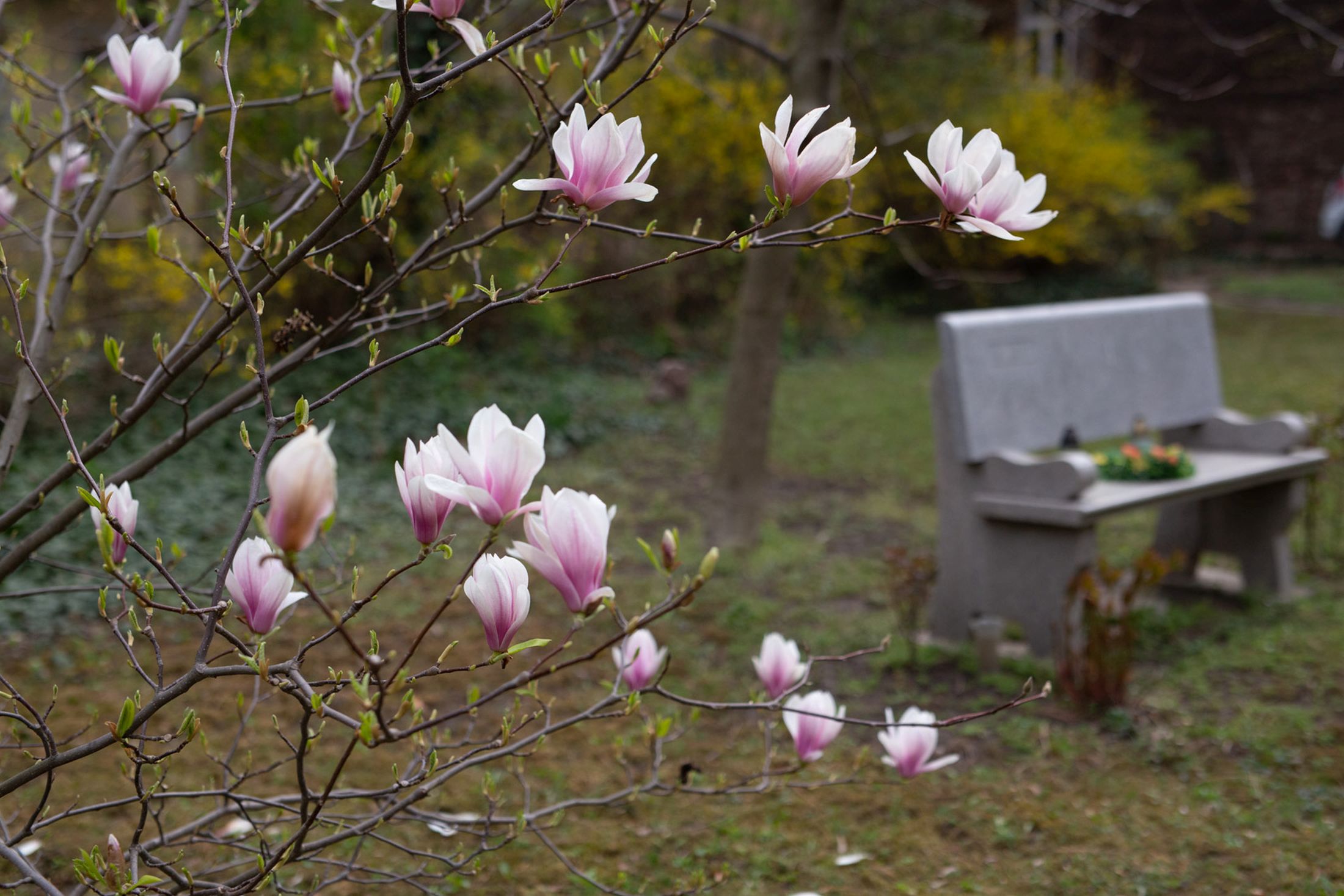 Amíg az élet véget nem ér… – Méltó búcsú az elmenőktől 1.